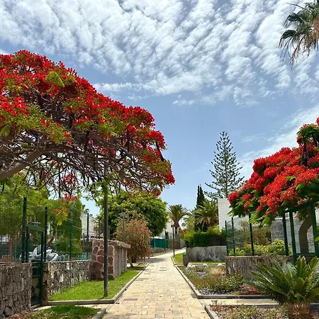 公寓 Fantastic Vacation By The Ocean 美洲海滩