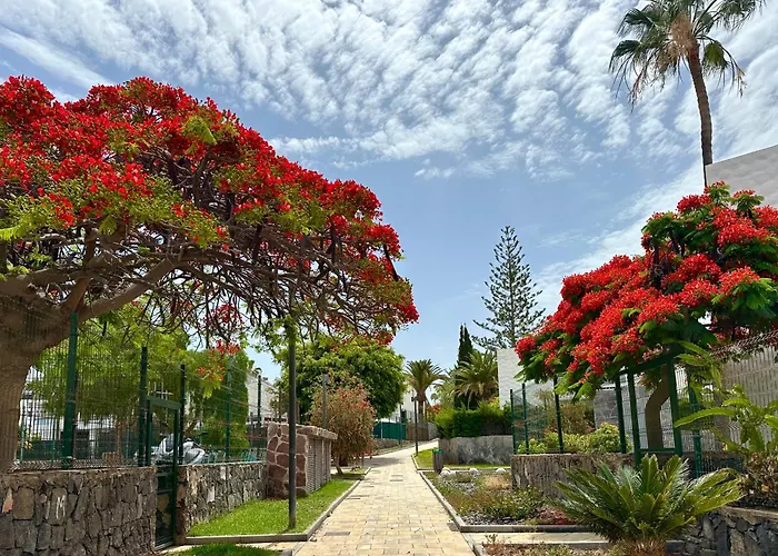 公寓 Fantastic Vacation By The Ocean 美洲海滩