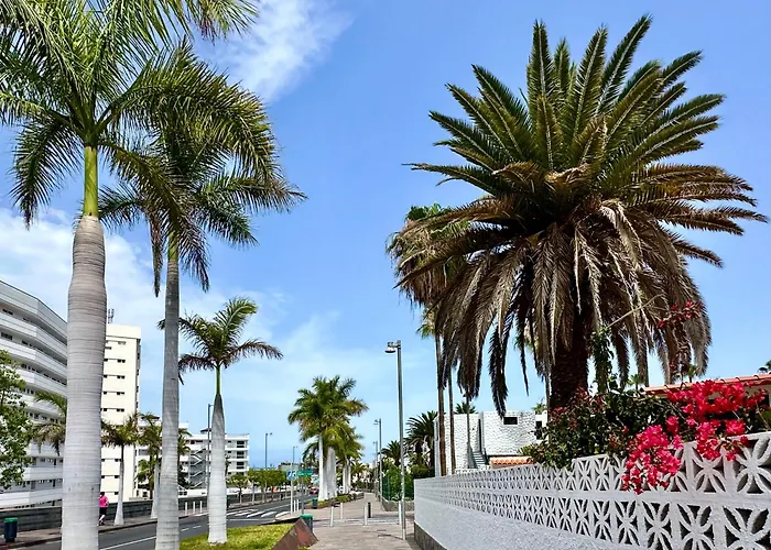 Fantastic Vacation By The Ocean 美洲海滩